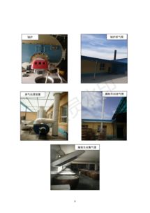 保定市潤(rùn)霖果脯廠果脯加工項(xiàng)目竣工環(huán)境保護(hù)驗(yàn)收監(jiān)測(cè)報(bào)告——專業(yè)環(huán)保咨詢服務(wù)解讀